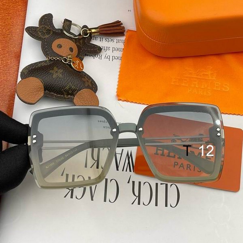 Hermes Sunglasses 54